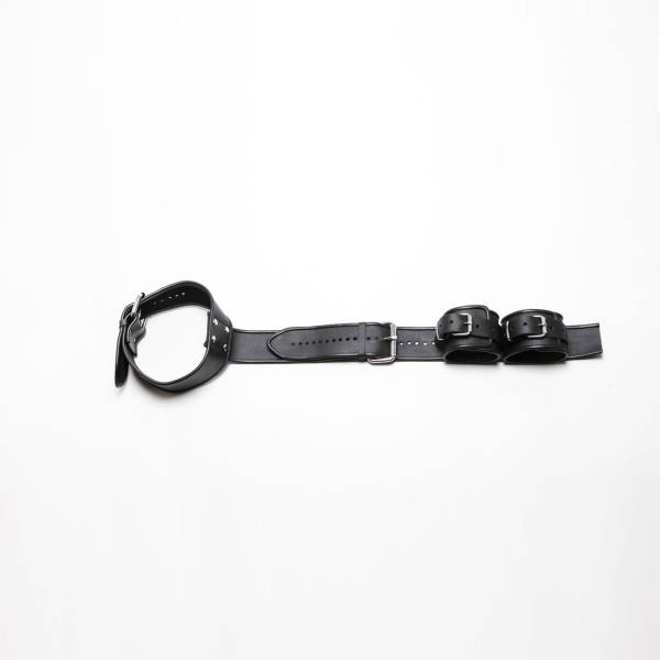 BLACK LEATHER BACK RESTRAINT HARNESS